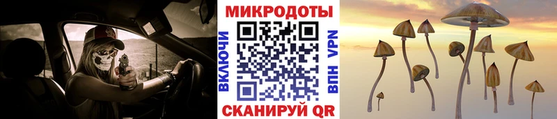 Псилоцибиновые грибы ЛСД MEGA рабочий сайт Вологда